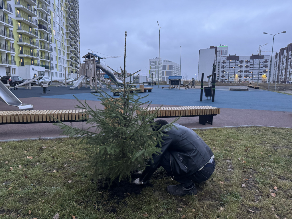 IMG_7659.jpg IMG_7659.jpg